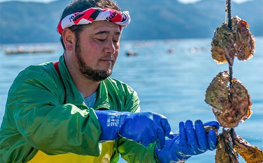 明神丸かき・ほたてきちの 剥き身牡蠣400g×4パック（1.6kg）セット  【配送日指定不可】【沖縄・離島配送不可】 三陸山田 海産品 海産物 かき シーフード  YD-497