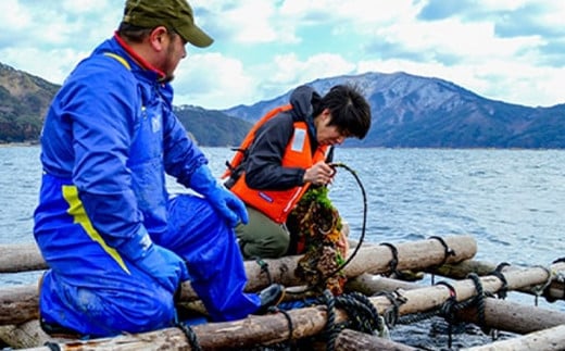 漁師がご案内！漁船に乗って山田湾に浮かぶ養殖いかだ見学クルーズペアチケット   YD-506