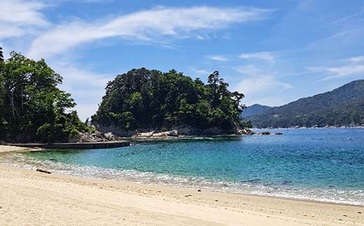 山田の海を楽しむサップ体験3～4名様【うみと私と】 三陸山田 山田町 山田湾 荒神 浦の浜 エメラルドグリーン マリンスポーツ 海 レジャー YD-847