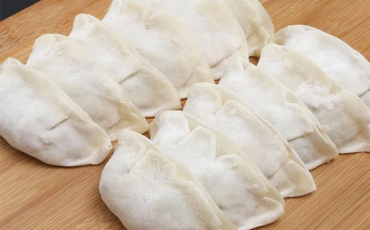 びはん特製！山田の餃子10個入り×10袋 三陸山田 山田町 肉 中華 山田の醤油 惣菜 YD-932