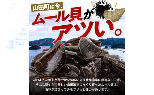 明神丸かき・ほたてきちのムール貝4kg 【沖縄県・離島配送不可】  YD-518