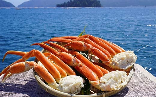 川秀のズワイガニ 2Lサイズ3肩入り(680g前後 ×2パック) 三陸山田 岩手県山田町 カニ 蟹 海産品 ズワイガニ  YD-733