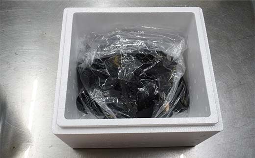 【DayDayで紹介されました！】ケッツラゲーおじさんのムール貝 1kg しゅうり貝 おつまみ 肴 アテ 海の幸 貝 魚介 海産物 食品 YD-800