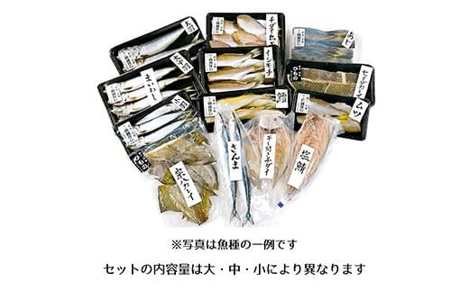 おまかせ干物セット（大）【大和水産】三陸山田 山田町 魚 魚介 干物 おかず 夕飯 詰合せ カワハギ アジ メアジ チダイ サバ イワシ サンマ タラ カレイ ムツ  YD-833
