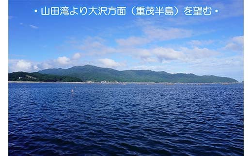 ≪2025年先行予約 9月中旬～10月下旬発送予定！≫ 大福丸の三陸山田産天然松茸 約120g【配送日指定不可】【沖縄・離島配送不可】 三陸山田 山田町 三陸産 野菜 きのこ  YD-893