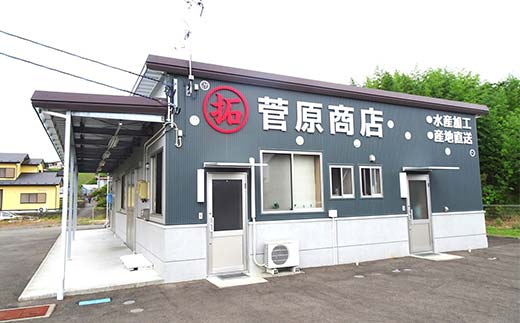菅原商店の殻付活あわび（2号品）250g 鮑 アワビ 三陸山田あわび 三陸山田鮑 三陸山田 山田産 海産品 天然鮑 高級 リアス海岸 【配送日指定不可】 YD-741