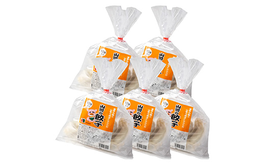 びはん特製！山田の餃子10個入り×5袋 三陸山田 山田町 肉 中華 山田の醤油 惣菜 YD-931