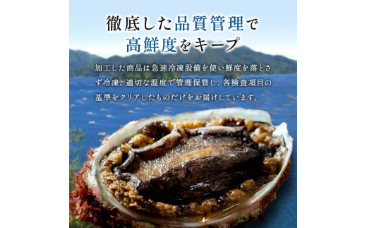 川秀の冷凍鮑 500g 三陸山田 山田町 エゾアワビ 三陸産アワビ 海産品  YD-445