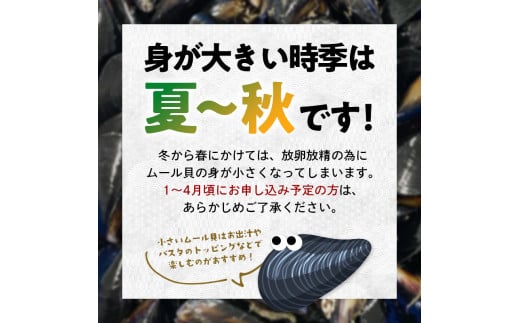 明神丸かき・ほたてきちのムール貝4kg 【沖縄県・離島配送不可】  YD-518