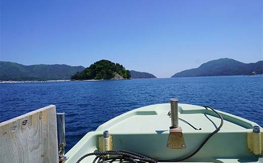 【岩手三陸山田】釣り船 邦栄丸 乗船券 4名分 山田町 山田湾 釣り船 船釣り 体験 カレイ アイナメ ソイ イカ ワラサ マス タラ メガラ  YD-689