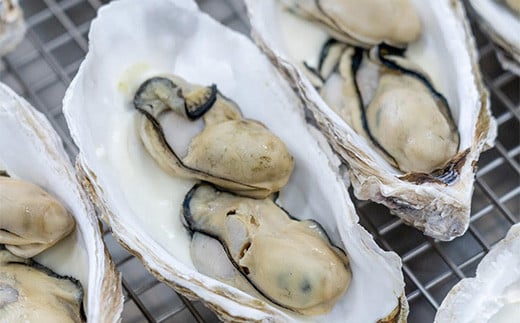 菅原商店の山田湾育ちのカキグラタン（6個入り） 三陸山田 かき 牡蠣 海産品 海産物  YD-824