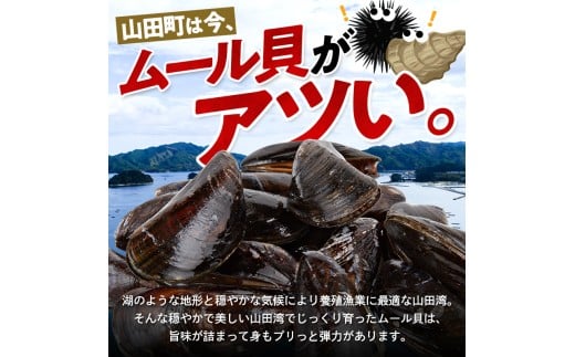 明神丸かき・ほたてきちのムール貝 2kg 【沖縄県・離島配送不可】 三陸山田 山田町 しゅうり貝 海産品 山田産 山田湾  YD-883