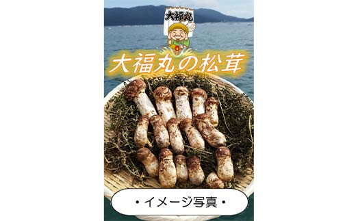 ≪2025年先行予約 9月中旬～10月下旬発送予定！≫ 大福丸の三陸山田産天然松茸 約150g【配送日指定不可】【沖縄・離島配送不可】 三陸山田 山田町 三陸産 野菜 きのこ  YD-894