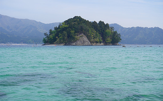 山田湾シーカヤック クルーズ券 1名分【ジオトレイル カヤック フードプログラム】三陸山田 山田町 海 釣り 体験 マリンスポーツ マリンツーリズム マリンレジャー Geotrail EFRICA  APIA  YD-678