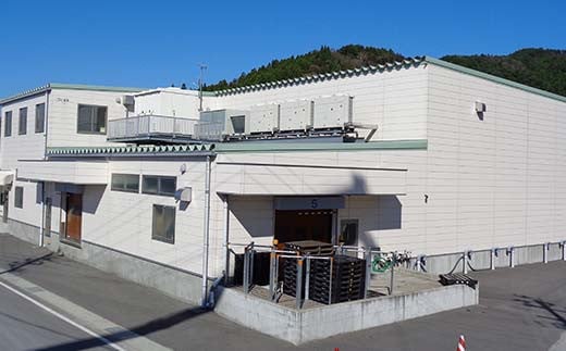 【訳あり】大和水産の大羽いわし（魚醤干し）10本 マイワシ まいわし   YD-830