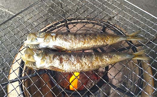 おまかせ干物セット（中）【大和水産】三陸山田 山田町 魚 魚介 干物 おかず 夕飯 詰合せ カワハギ アジ メアジ チダイ サバ イワシ サンマ タラ カレイ ムツ  YD-832