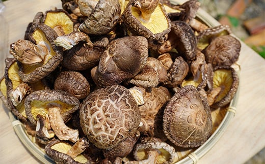 勝山さんの乾燥椎茸400g（ミックスサイズ）岩手県山田町 三陸山田 岩手三陸産 椎茸 原木 野菜 きのこ  YD-848