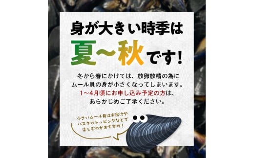 明神丸かき・ほたてきちのムール貝 1kg 【沖縄県・離島配送不可】 三陸山田 山田町 しゅうり貝 海産品 山田産 山田湾  YD-882