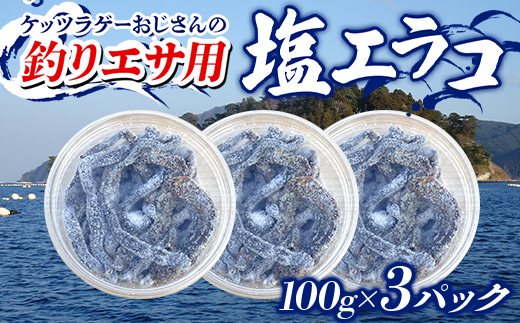 ケッツラゲーおじさんの 釣りエサ用塩エラコ100g×3パック 釣り用エサ 環形動物 三陸山田 山田町 YD-1039