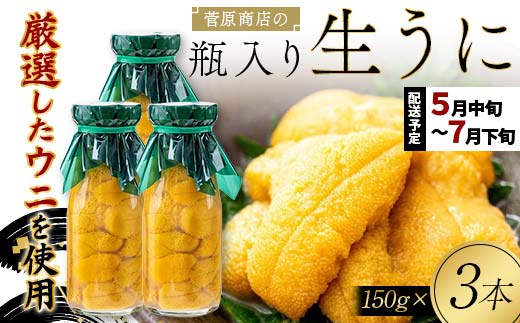 【2026年先行予約】菅原商店の生うに150g 3本 無添加ウニ キタムラサキウニ 特選 ミョウバン不使用【沖縄・離島配送不可】  YD-903