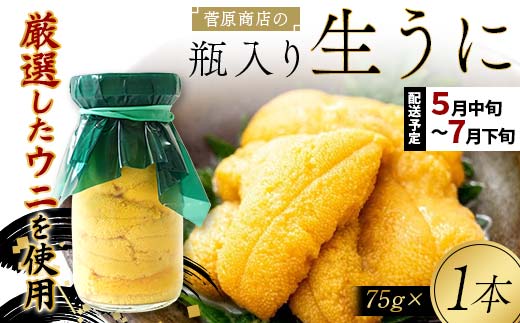 【2026年先行予約】菅原商店の生うに75g 1本【令和8年5月中旬～7月下旬配送予定】【配送日指定不可】【沖縄・離島配送不可】 三陸山田 山田町 牛乳瓶 海産品 無添加 ミョウバン不使用 雲丹 海栗 YD-921