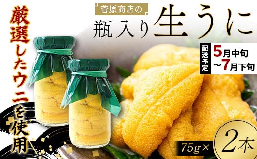 【2026年先行予約】菅原商店の生うに75g 2本【令和8年5月中旬～7月下旬配送予定】【配送日指定不可】【沖縄・離島配送不可】 三陸山田 山田町 牛乳瓶 海産品 無添加 ミョウバン不使用 雲丹 海栗 YD-922