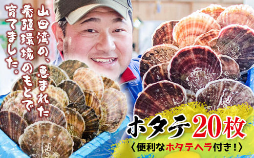明神丸かき・ほたてきちのホタテ（大）20枚セット【配送日指定不可】 三陸山田 岩手県山田町 山田湾 海産品 帆立 ほたて ホタテ 生食可 二枚貝 YD-1044