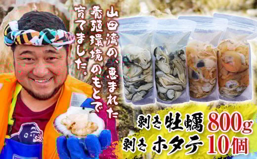 明神丸かき・ほたてきちの 剥き牡蠣800gと 剥きホタテ10個のセット【配送日指定不可】【沖縄・離島配送不可】 三陸山田 海産品 海産物 かき ほたて シーフード YD-1047