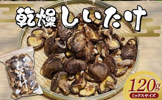 勝山さんの乾燥椎茸 120g（ミックスサイズ）岩手県山田町 三陸山田 岩手三陸産 椎茸 原木 野菜 きのこ  YD-716