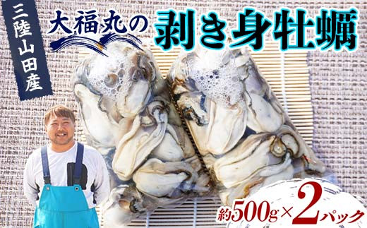 大福丸の剥き身牡蠣 約500g×2パック【三陸山田産】【沖縄・離島配送不可】三陸山田 山田町 山田湾 海産品 かき  YD-724