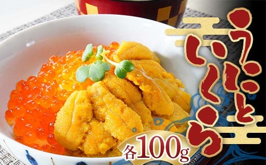川秀のウニ＆イクラセット（各100g×1パック） 三陸山田 山田町 ウニ 雲丹 海産品 通年 沖縄離島配送可 冷凍ウニ 冷凍イクラ 醤油イクラ  YD-754