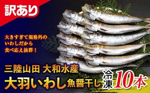 【訳あり】大和水産の大羽いわし（魚醤干し）10本 マイワシ まいわし   YD-830