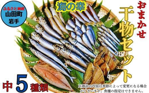 おまかせ干物セット（中）【大和水産】三陸山田 山田町 魚 魚介 干物 おかず 夕飯 詰合せ カワハギ アジ メアジ チダイ サバ イワシ サンマ タラ カレイ ムツ  YD-832