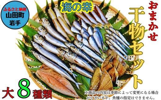 おまかせ干物セット（大）【大和水産】三陸山田 山田町 魚 魚介 干物 おかず 夕飯 詰合せ カワハギ アジ メアジ チダイ サバ イワシ サンマ タラ カレイ ムツ  YD-833