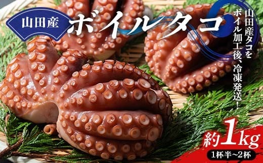 川石水産の山田産ボイルタコ 1kg 三陸山田 山田町 海産品 山田湾 蛸 刺身 タコ飯  YD-876