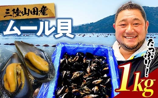 明神丸かき・ほたてきちのムール貝 1kg 【沖縄県・離島配送不可】 三陸山田 山田町 しゅうり貝 海産品 山田産 山田湾  YD-882