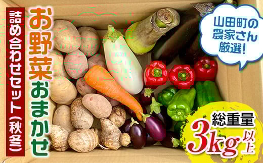 ≪先行予約 8月下旬～11月下旬発送！≫漉磯さんのお野菜おまかせ詰め合わせセット あやちゃんの野菜3kg 山田町 旬 新鮮野菜 ナス 長なす ピーマン 小茄子 にんじん 里芋 じゃがいも 里いも 親芋 キノコ  YD-892