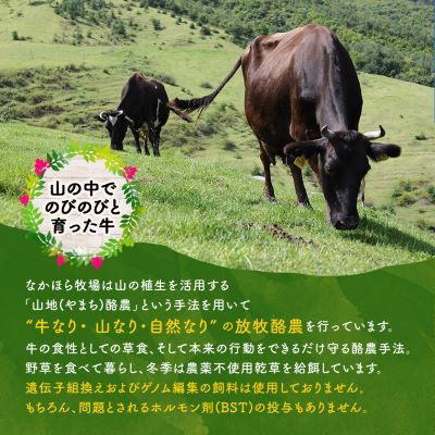 なかほら牧場 ふるさと納税セット【配送不可地域：離島】