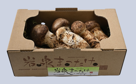 岩泉まつたけ 500g【配送不可地域：離島】