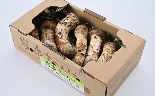 【自家用】岩泉まつたけ 300g【配送不可地域：離島】