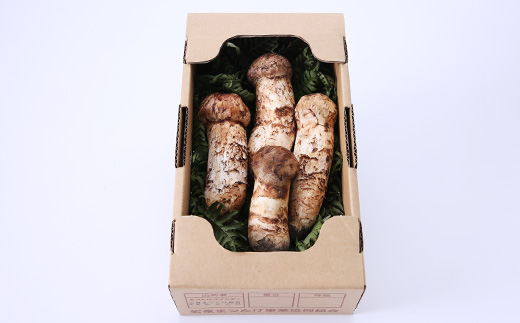 【2026秋発送】【特選】岩泉まつたけ 直送 300g【配送不可地域：離島】