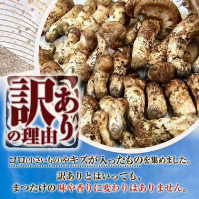 【訳アリ】 岩泉まつたけ  300g　家庭用にどうぞ【配送不可地域：離島】