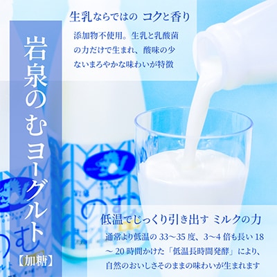 岩泉ヨーグルトのお酒　岩泉ヨーグルト×南部美人のお酒　スーパーフローズン　700ml×1本　【配送不可地域：離島】