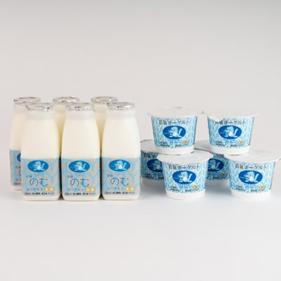 【毎月定期便】岩泉ヨーグルト90g×6個・のむヨーグルト200ml×6本セット全3回【配送不可地域：離島】