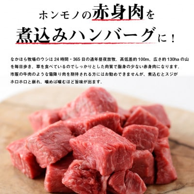 なかほら牧場の煮込みハンバーグ5個セット【配送不可地域：離島】