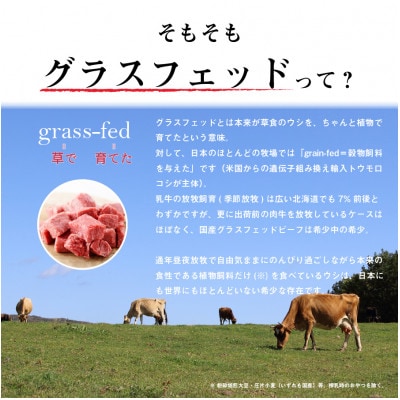 なかほら牧場 グラスフェッドビーフ粗挽き(500g)【配送不可地域：離島】