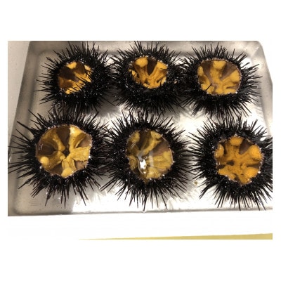 三陸小本浜産　生ウニ(牛乳瓶・150g)2本入り【配送不可地域：離島・沖縄県・九州】