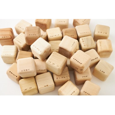 フォレストキューブ　岩泉の森のキューブ24樹 ギフトBOXset