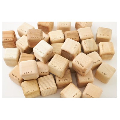 フォレストキューブ　岩泉の森のキューブ お好みの24樹ギフトBOX set