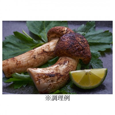 ≪ご家庭用に≫　岩泉まつたけ  300g【配送不可地域：離島】